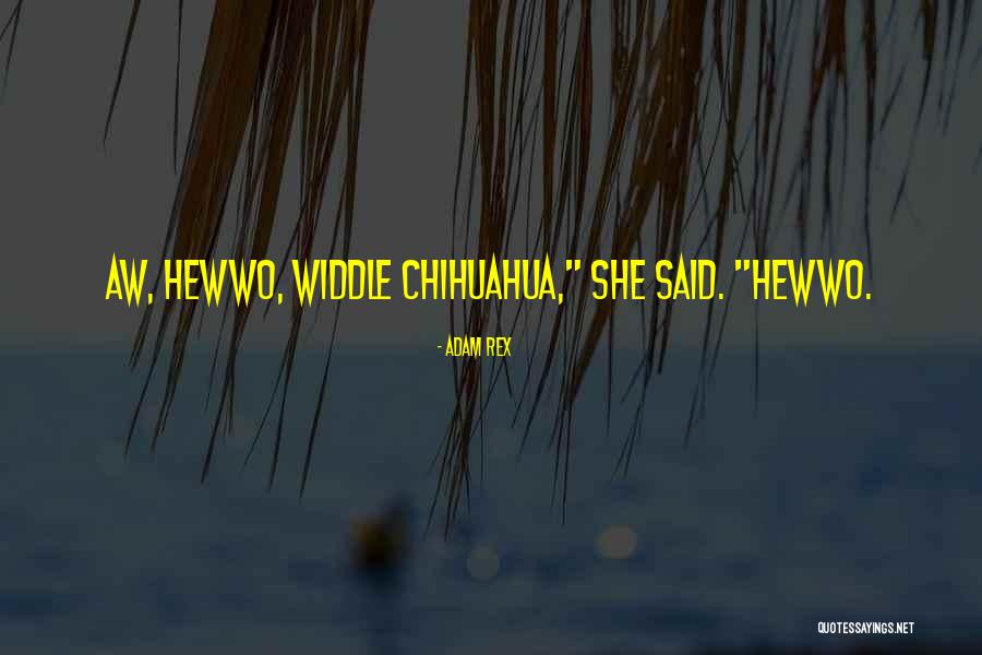 Chihuahua Quotes By Adam Rex Chihuahua Quotes By Adam Rex