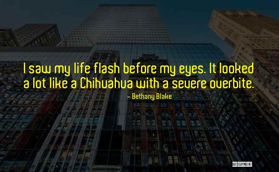 Chihuahua Quotes By Bethany Blake Chihuahua Quotes By Bethany Blake
