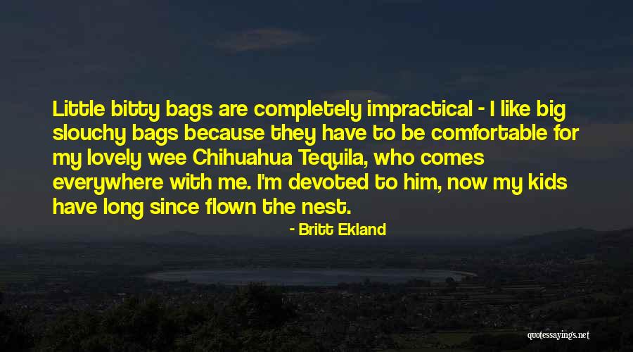 Chihuahua Quotes By Britt Ekland Chihuahua Quotes By Britt Ekland