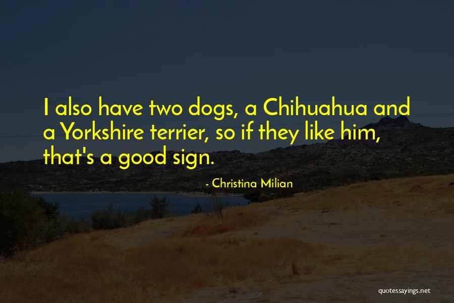 Chihuahua Quotes By Christina Milian Chihuahua Quotes By Christina Milian