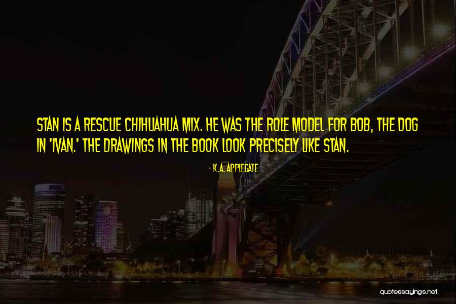 Chihuahua Quotes By K.A. Applegate Chihuahua Quotes By K.A. Applegate