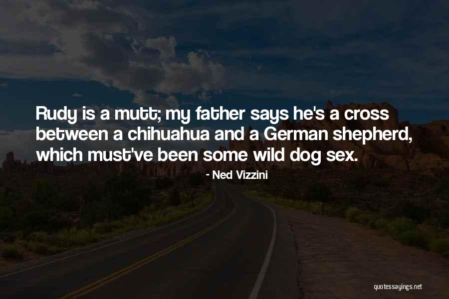 Chihuahua Quotes By Ned Vizzini Chihuahua Quotes By Ned Vizzini