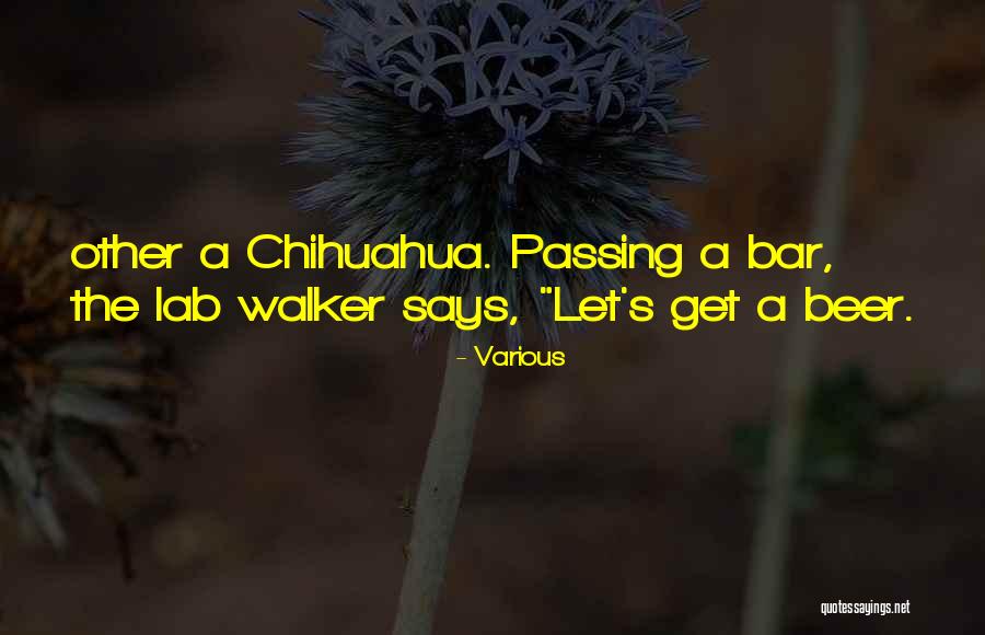 Chihuahua Quotes By Various Chihuahua Quotes By Various