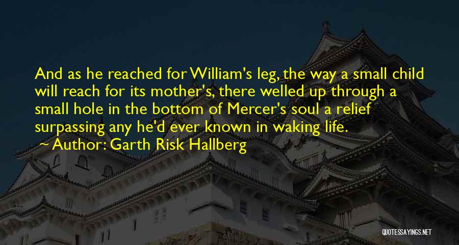 Child And Mother Quotes By Garth Risk Hallberg