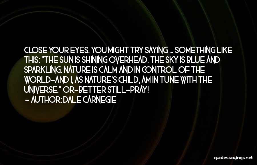 Child And Nature Quotes By Dale Carnegie