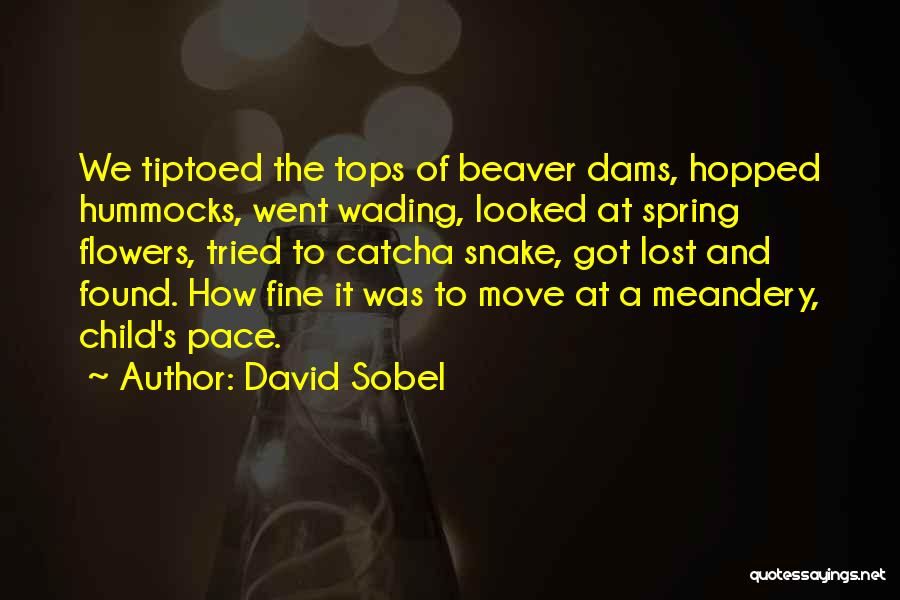 Child And Nature Quotes By David Sobel