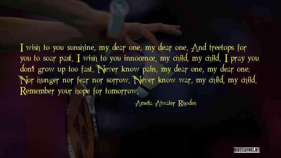 Child Growing Up Quotes By Amelia Atwater-Rhodes