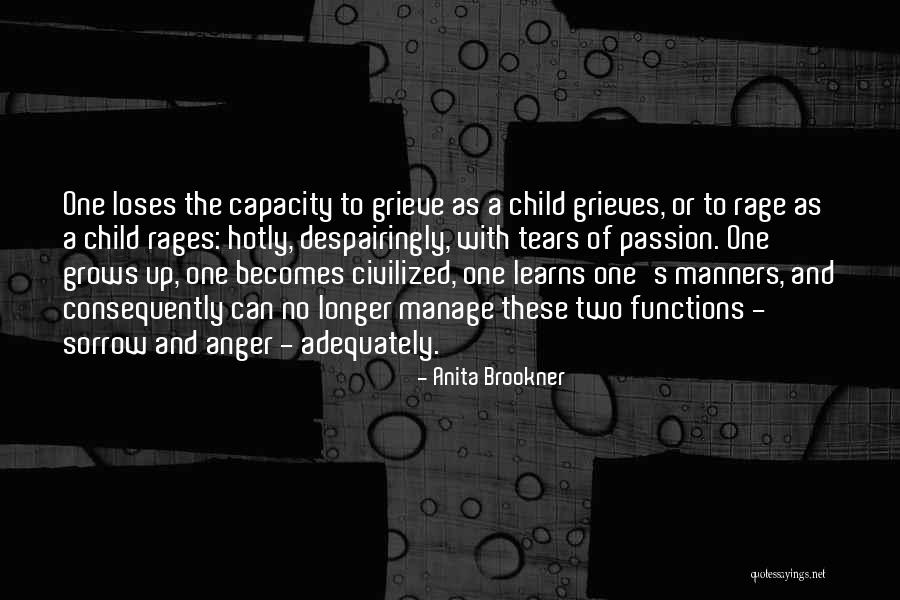 Child Growing Up Quotes By Anita Brookner