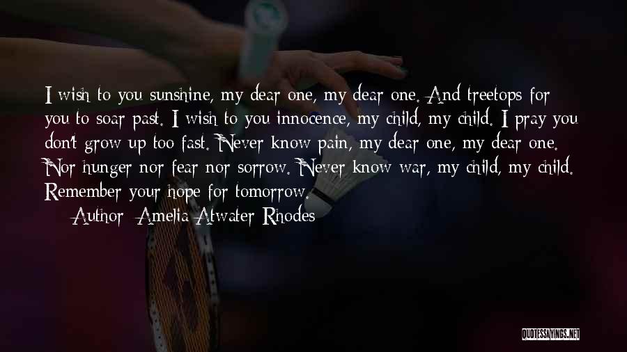 Child Hunger Quotes By Amelia Atwater-Rhodes