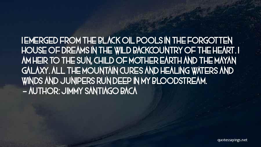 Child In The Heart Quotes By Jimmy Santiago Baca