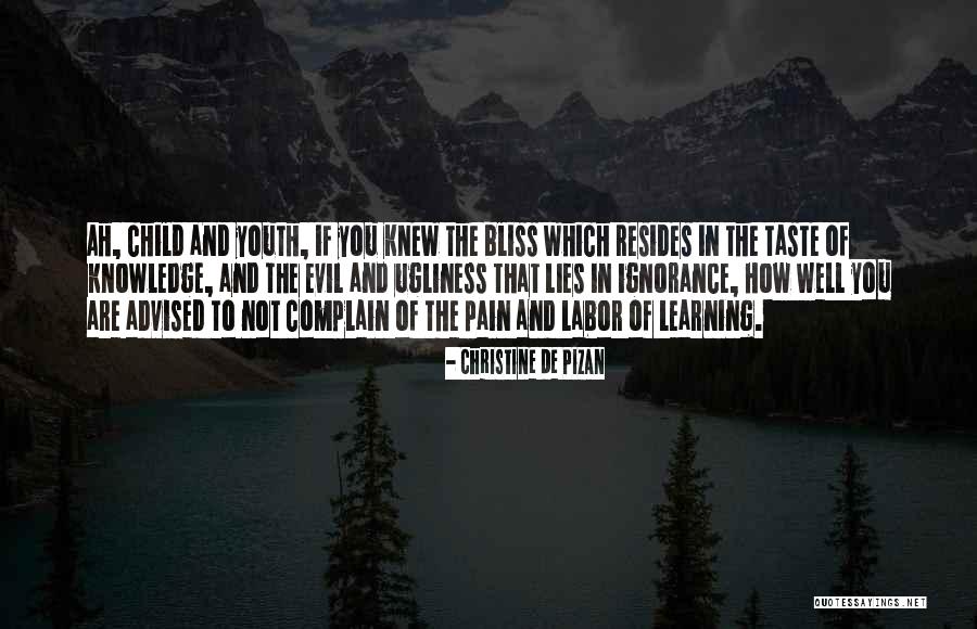 Child Labor Quotes By Christine De Pizan Child Labor Quotes By Christine De Pizan