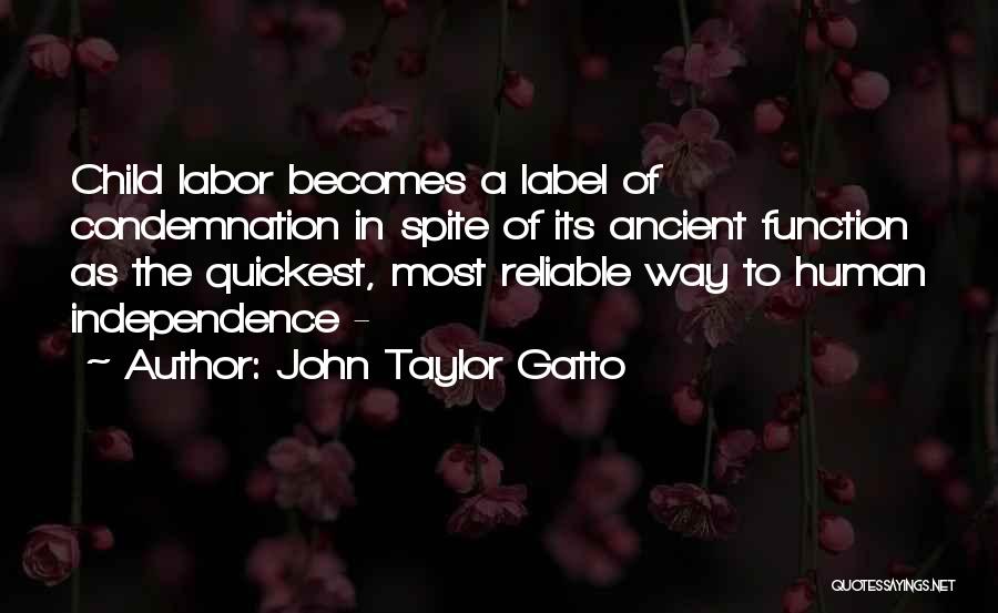 Child Labor Quotes By John Taylor Gatto