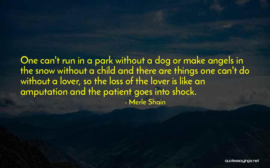 Child Loss Quotes By Merle Shain