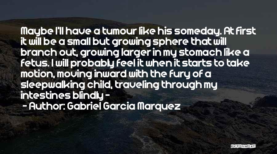 Child Mortality Quotes By Gabriel Garcia Marquez