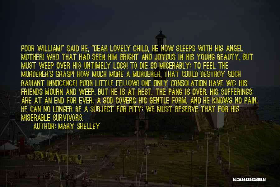 Child Pain Quotes By Mary Shelley