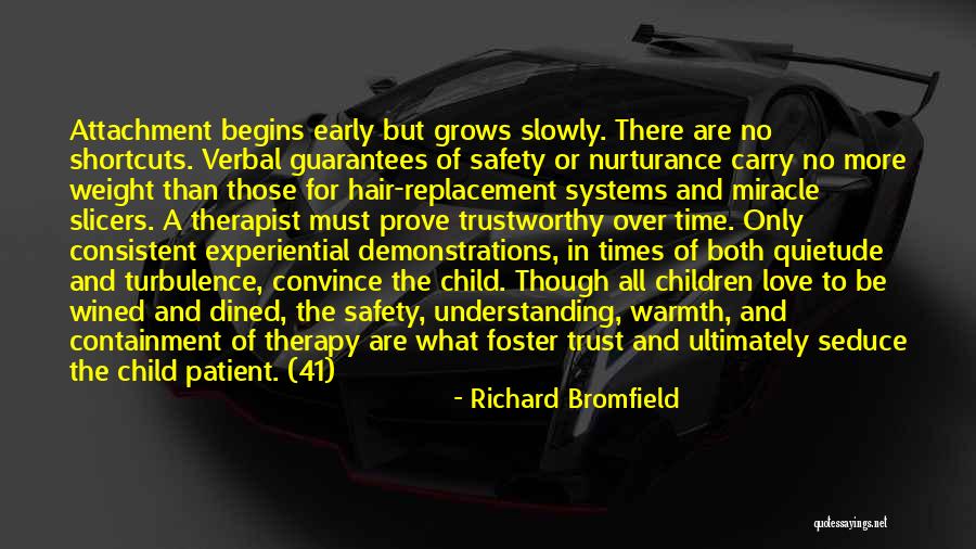 Child Therapy Quotes By Richard Bromfield