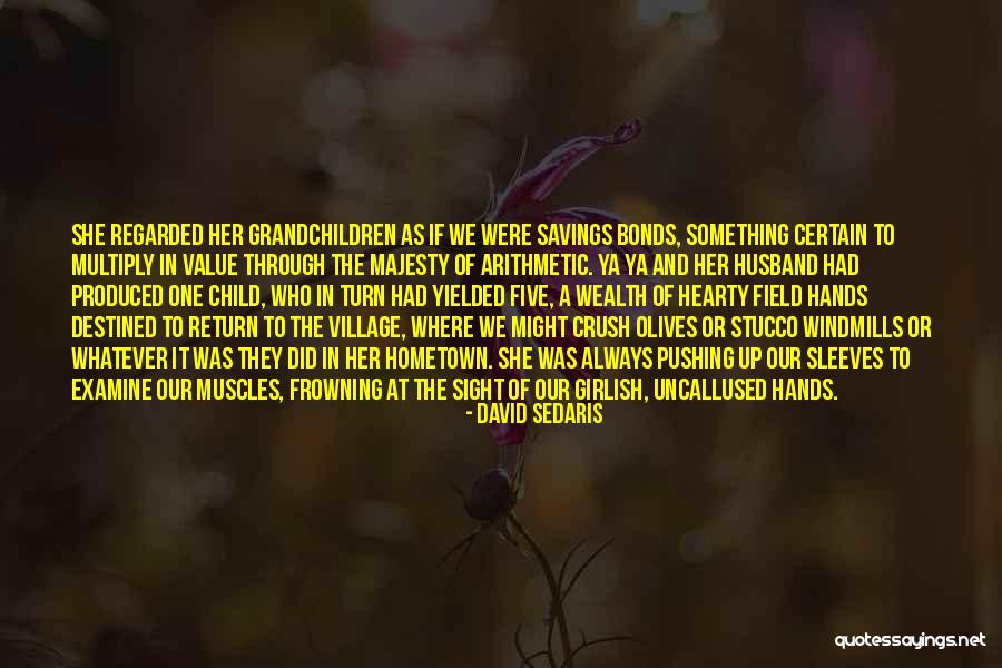 Child Village Quotes By David Sedaris Child Village Quotes By David Sedaris