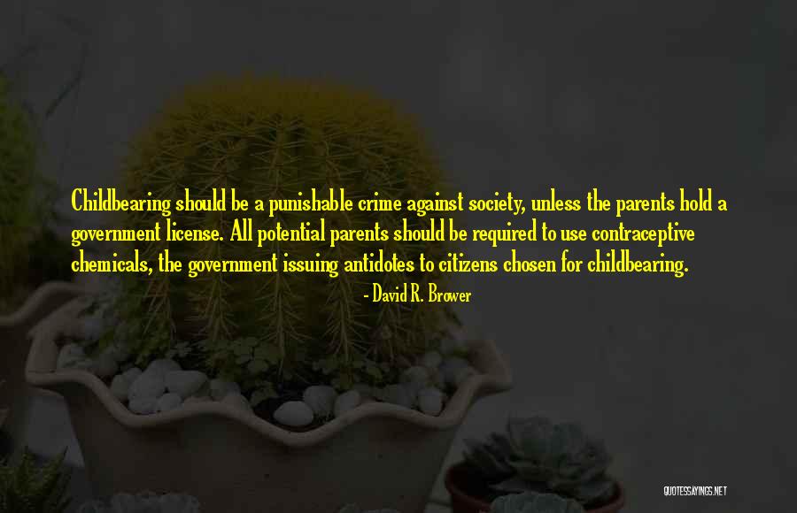 Childbearing Quotes By David R. Brower