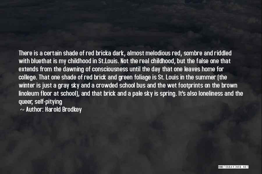 Childhood Day Quotes By Harold Brodkey