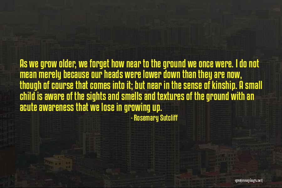 Childhood Growing Up Quotes By Rosemary Sutcliff Childhood Growing Up Quotes By Rosemary Sutcliff