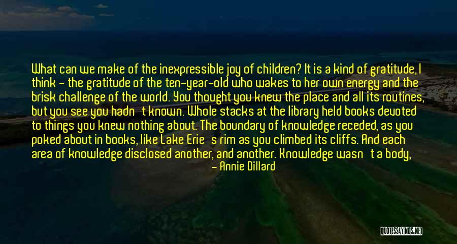 Childhood Joy Quotes By Annie Dillard