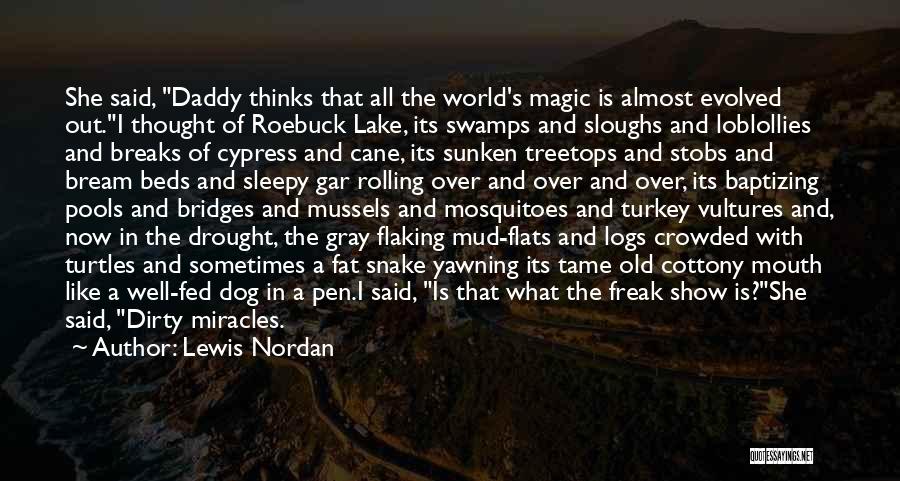 Childhood Magic Quotes By Lewis Nordan