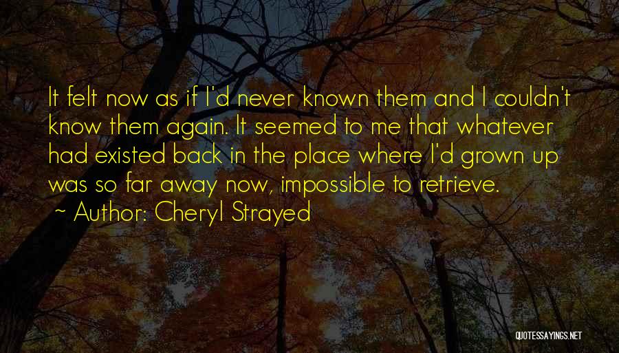 Childhood Never Come Back Quotes By Cheryl Strayed