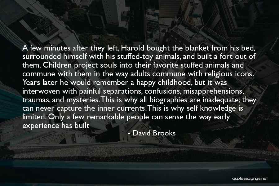 Childhood Stuffed Animals Quotes By David Brooks