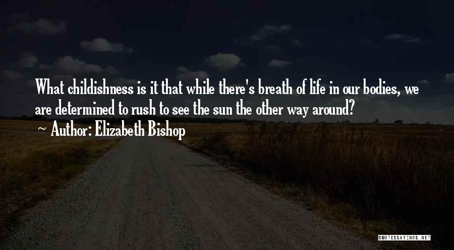 Childishness Quotes By Elizabeth Bishop