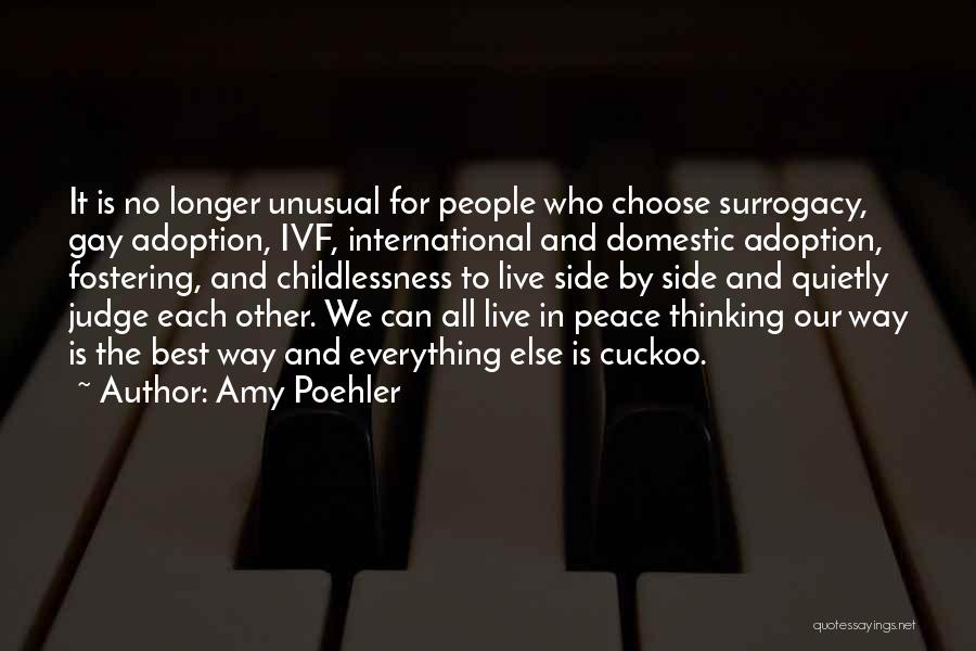 Childlessness Quotes By Amy Poehler