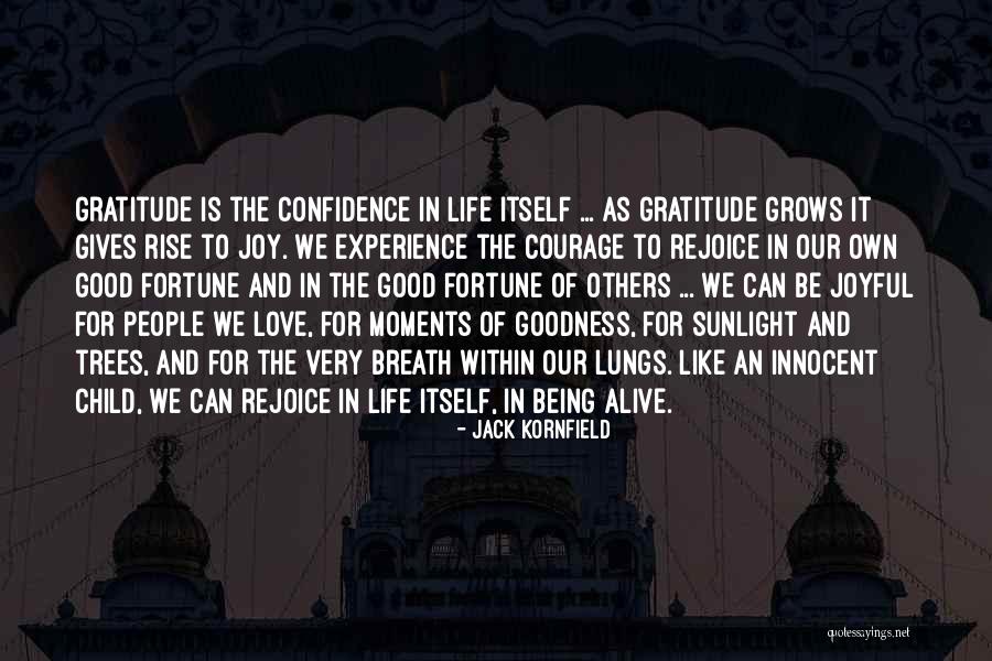 Children Being Innocent Quotes By Jack Kornfield Children Being Innocent Quotes By Jack Kornfield