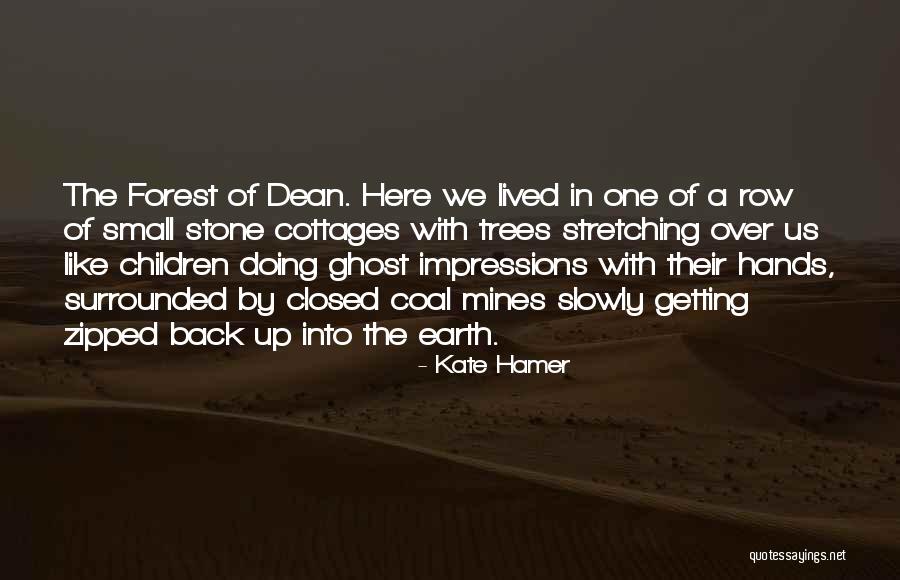 Children Of The Forest Quotes By Kate Hamer Children Of The Forest Quotes By Kate Hamer
