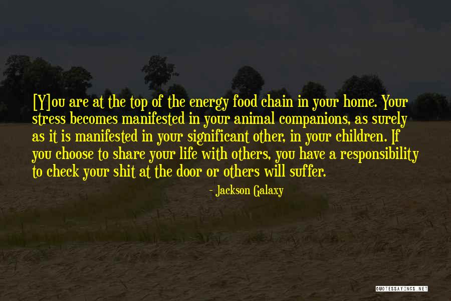 Children Suffer Quotes By Jackson Galaxy Children Suffer Quotes By Jackson Galaxy