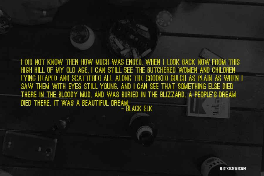 Children's Eyes Quotes By Black Elk Children's Eyes Quotes By Black Elk