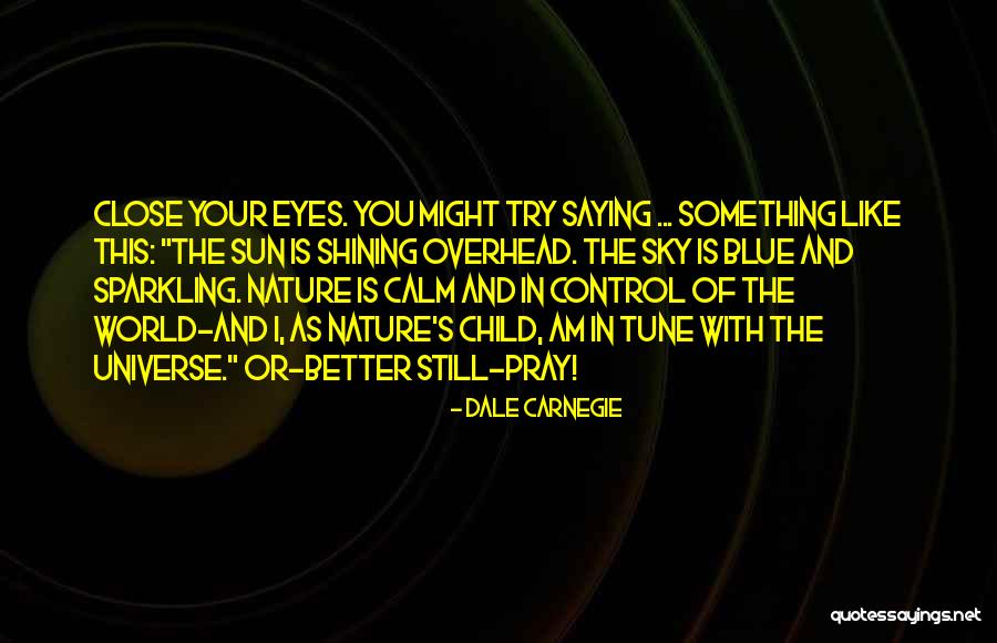 Children's Eyes Quotes By Dale Carnegie