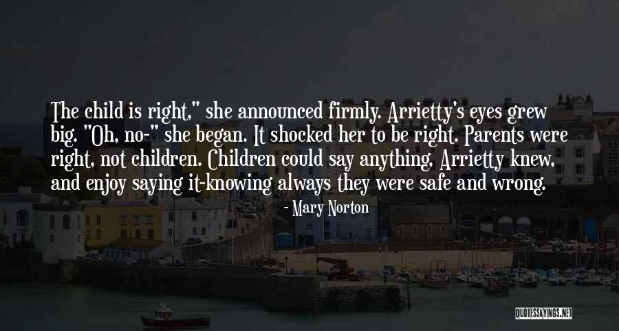 Children's Eyes Quotes By Mary Norton Children's Eyes Quotes By Mary Norton