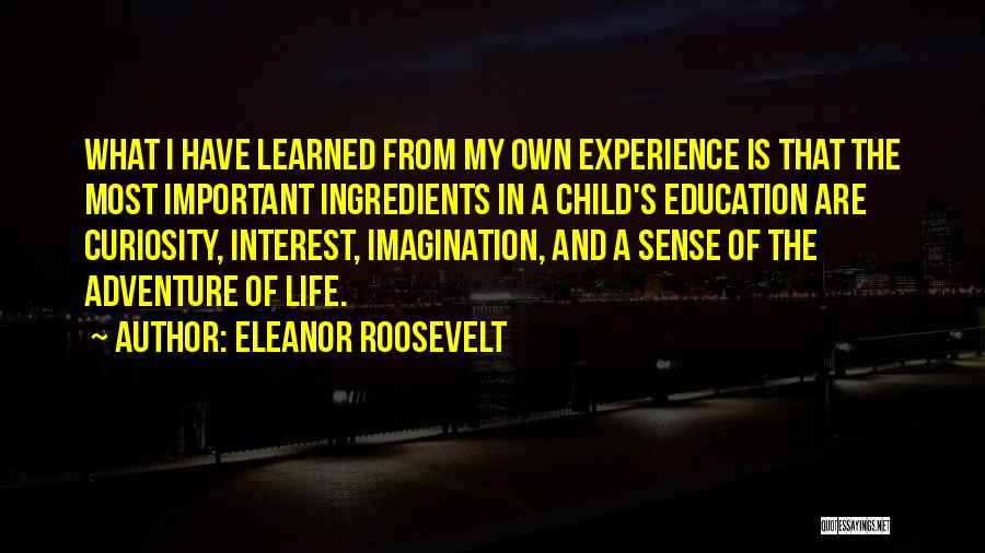 Child's Imagination Quotes By Eleanor Roosevelt