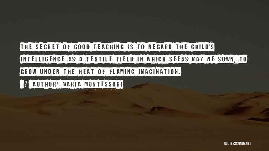 Child's Imagination Quotes By Maria Montessori