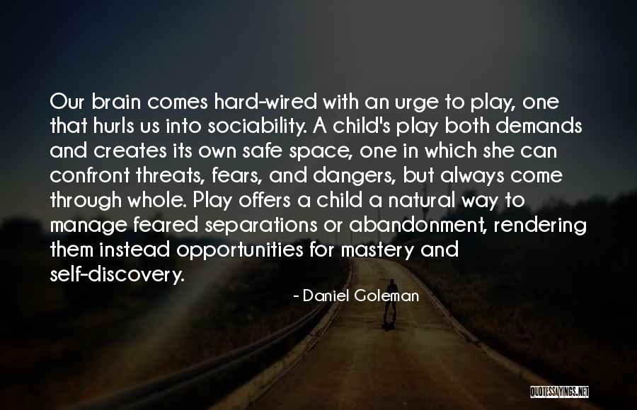 Child's Play Quotes By Daniel Goleman