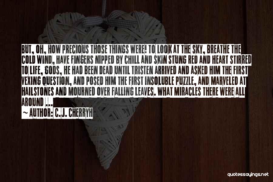 Chill Out Life Quotes By C.J. Cherryh