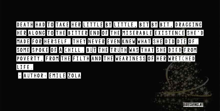 Chill Out Life Quotes By Emile Zola