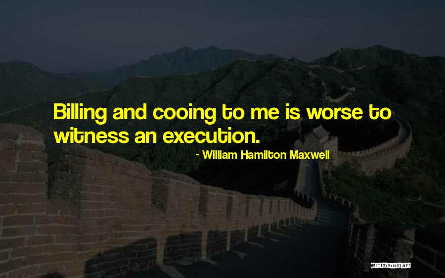 Chillala Quotes By William Hamilton Maxwell Chillala Quotes By William Hamilton Maxwell
