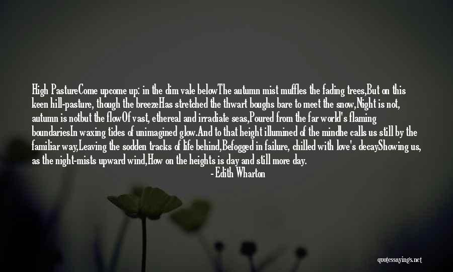 Chilled Night Quotes By Edith Wharton Chilled Night Quotes By Edith Wharton