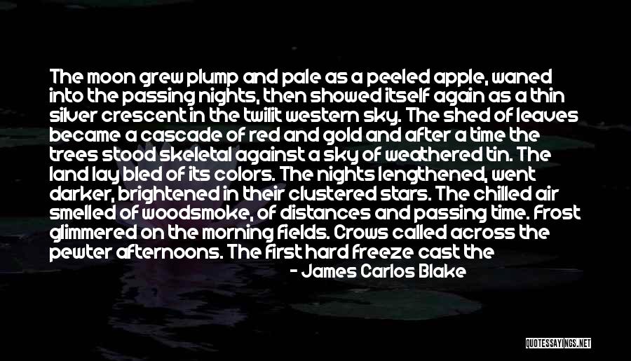 Chilled Night Quotes By James Carlos Blake Chilled Night Quotes By James Carlos Blake