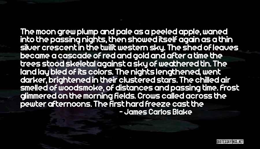 Chilled Night Quotes By James Carlos Blake