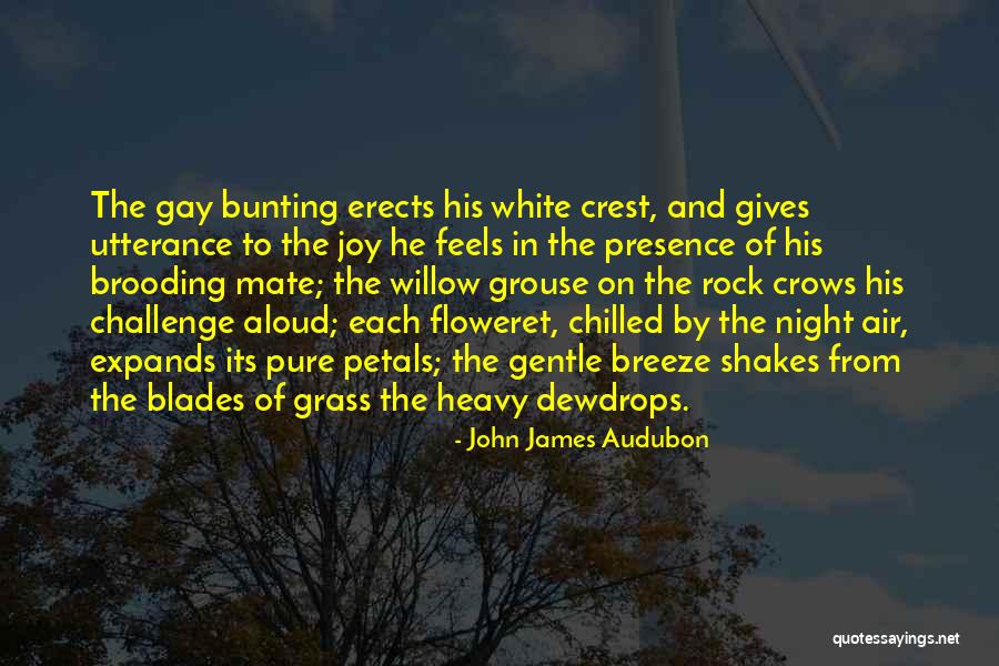 Chilled Night Quotes By John James Audubon Chilled Night Quotes By John James Audubon
