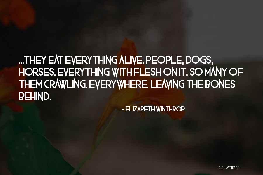 Chillido De Raton Quotes By Elizabeth Winthrop Chillido De Raton Quotes By Elizabeth Winthrop