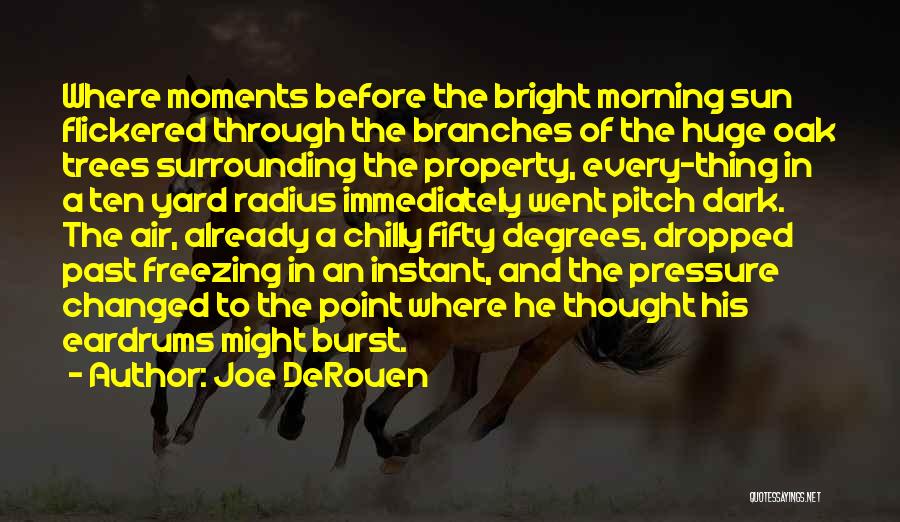 Chilly Morning Quotes By Joe DeRouen