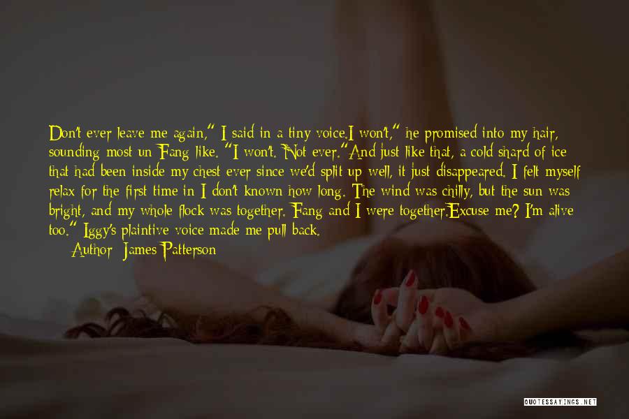 Chilly Wind Quotes By James Patterson