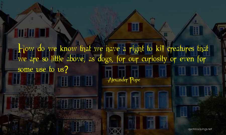 Chilometri Miglia Quotes By Alexander Pope Chilometri Miglia Quotes By Alexander Pope